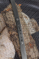 Preview: Fire Bowl Mesh Spark Screen Cook King